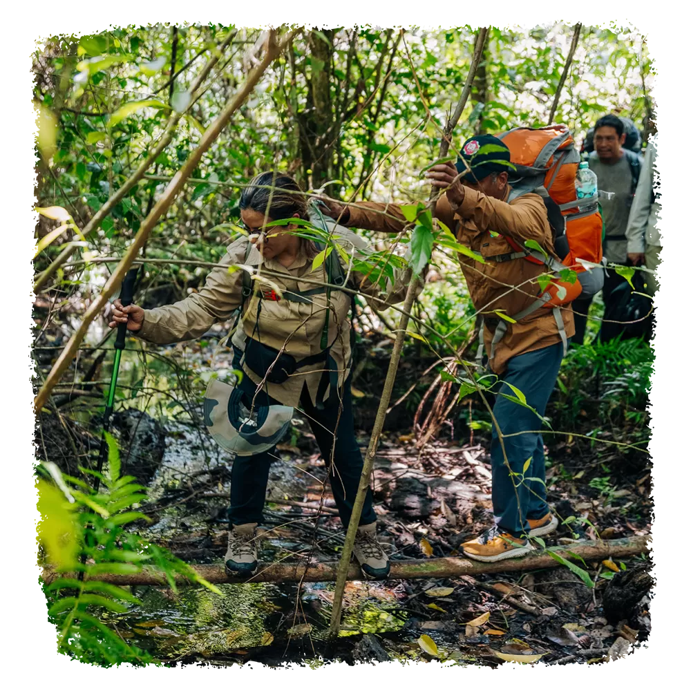 camino-del-jaguar-la-ruta