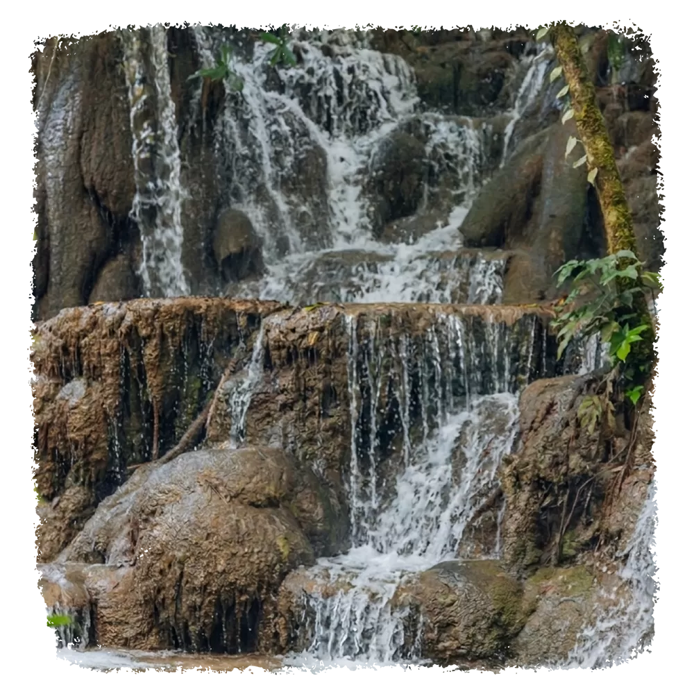 camino-del-jaguar-la-selva